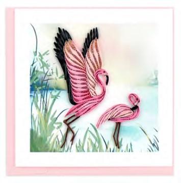 Flamingos