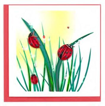 Ladybugs