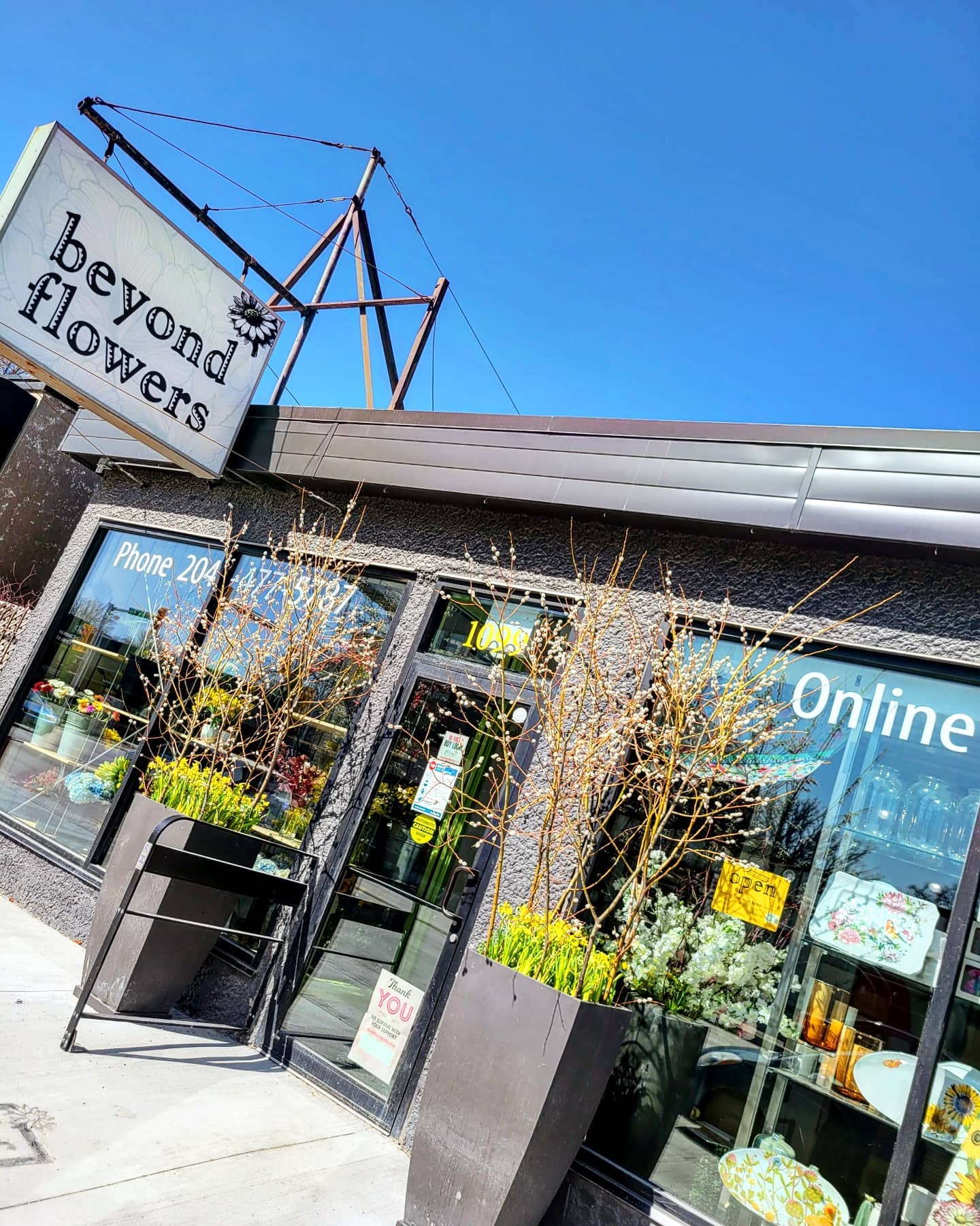 "Fresh Flower Bouquets in Winnipeg - Beyond Flowers"