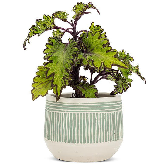 Batik Planter