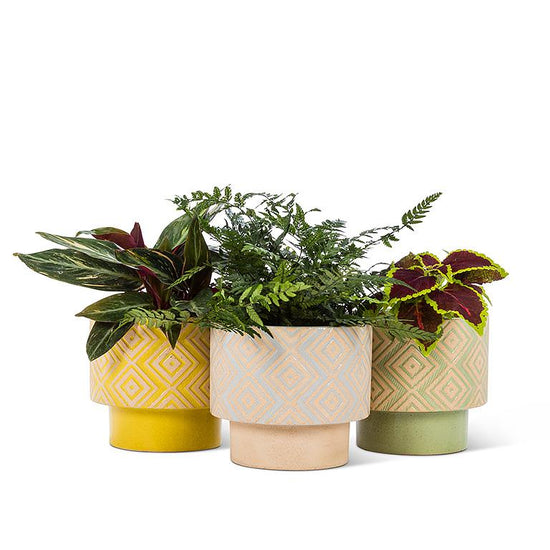 Mod Planters