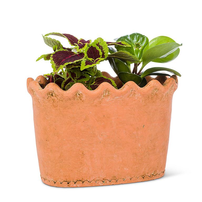 Terra Cotta Planters For Sale In Winnipeg Beyond Flowers   27 PORTICO 209 2 