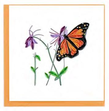Monarch Butterfly 